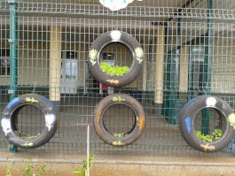 os nossos pneus com  ervas aromáticas